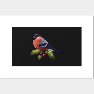 Holiday Bird Eurasian Bullfinch Posters and Art